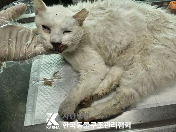 종료(자연사) 터키…