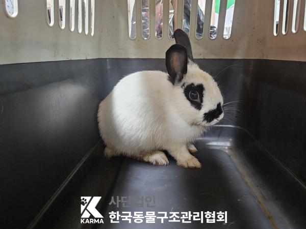 보호중 기타축종의 …
