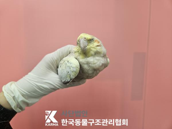 종료(자연사) 기타…