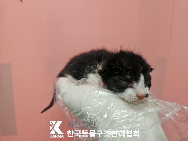 종료(자연사) 한국…