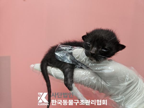 종료(자연사) 한국…