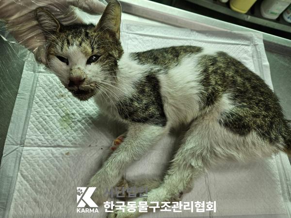 종료(자연사) 한국…