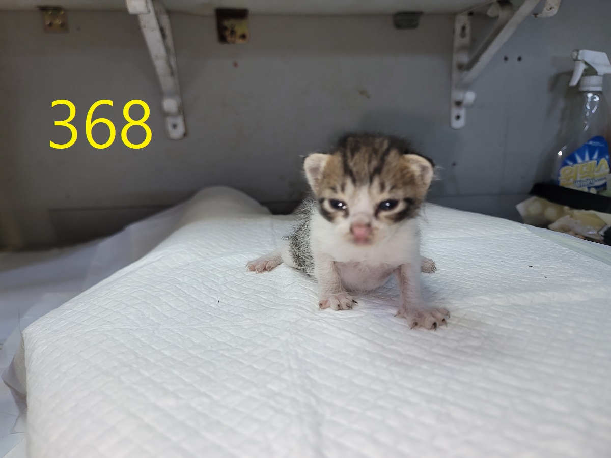 신영재동물병원_428355202500585
