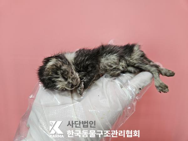 종료(자연사) 한국…
