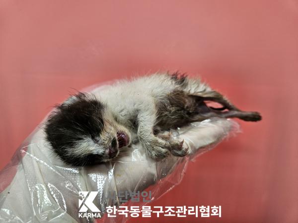 종료(자연사) 한국…