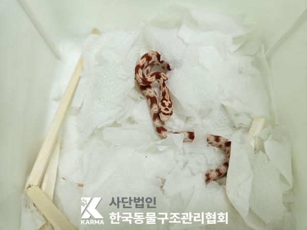 한국동물구조관리협회_411315202500475