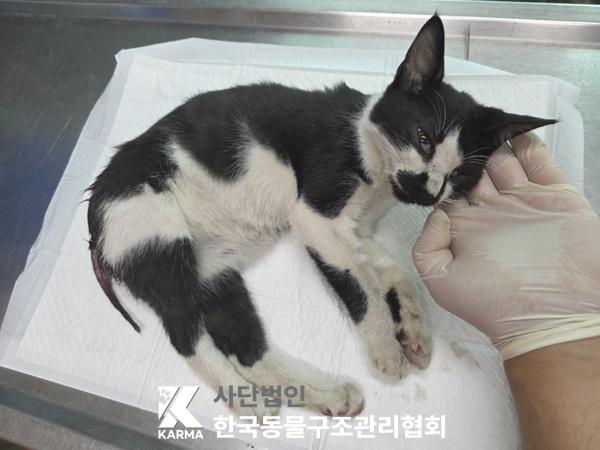 종료(자연사) 한국…