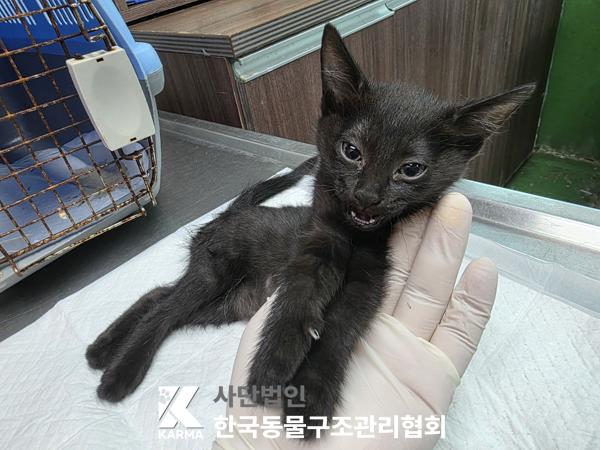 종료(자연사) 한국…