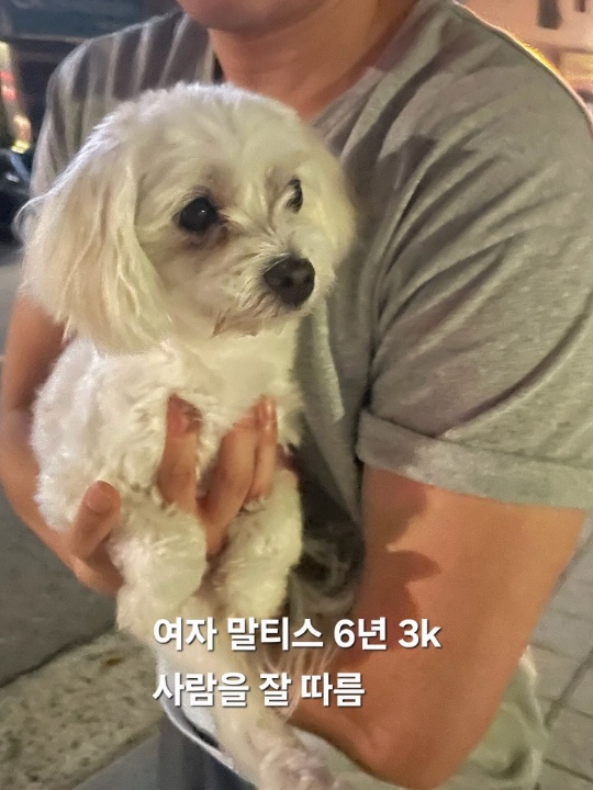 옥천동물병원_443443202500643