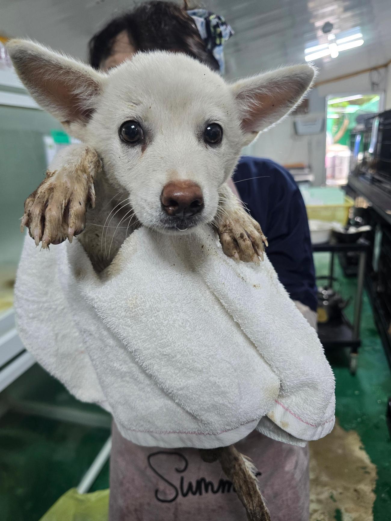 밀양시 동물보호센터_448536202500819