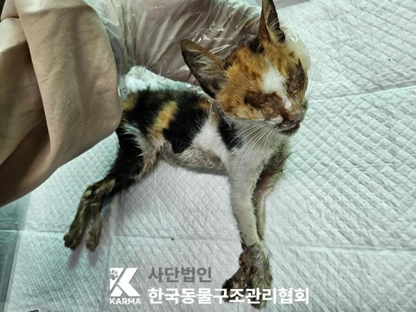종료(자연사) 한국…
