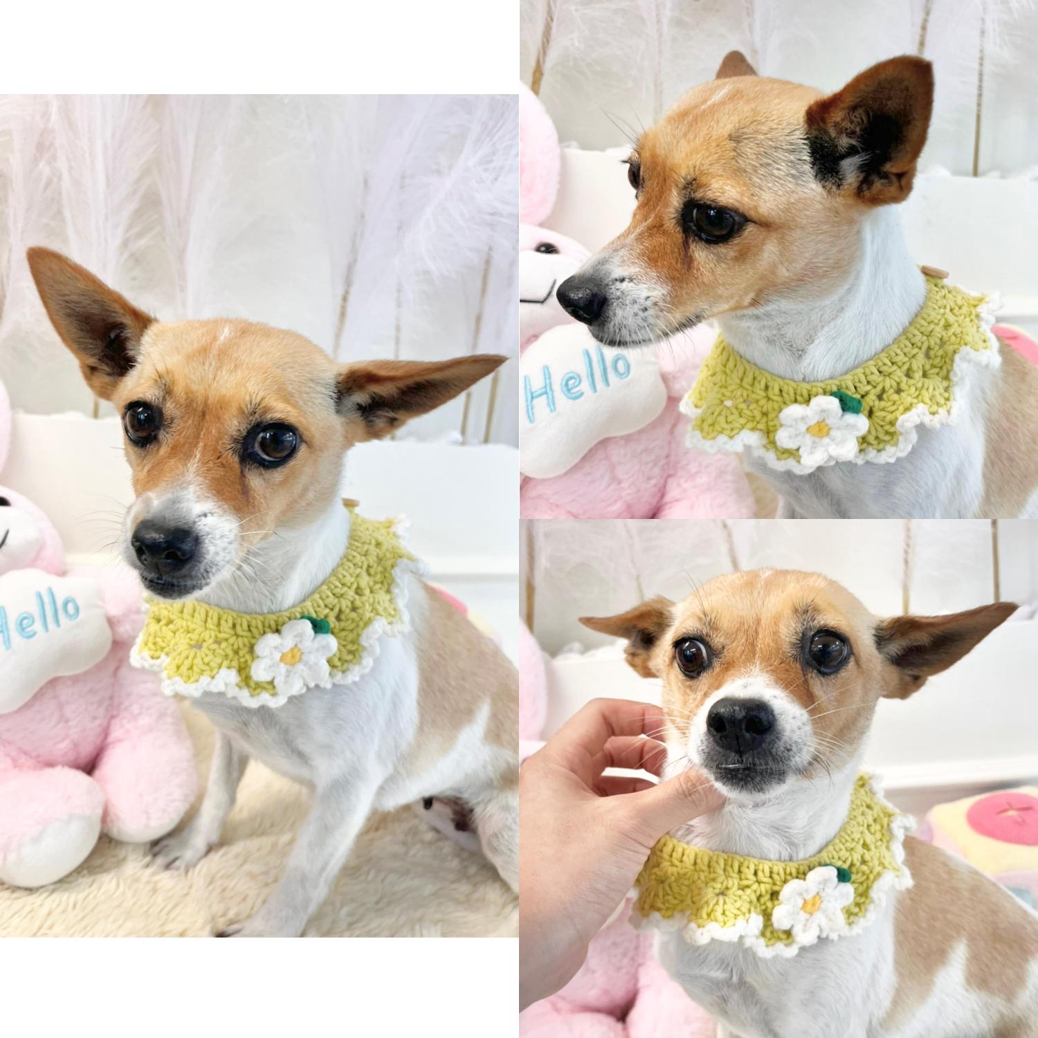 이름없음