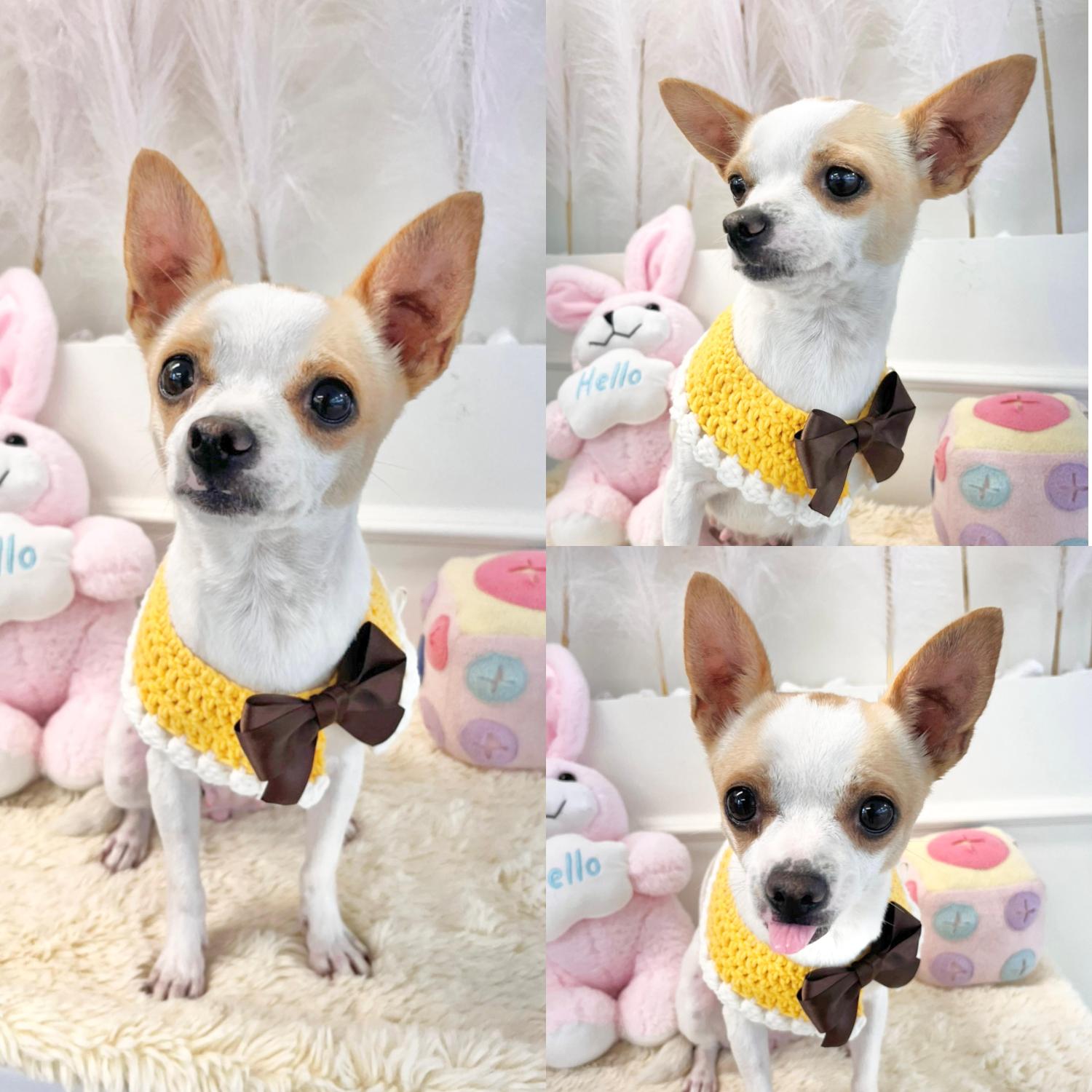이름없음