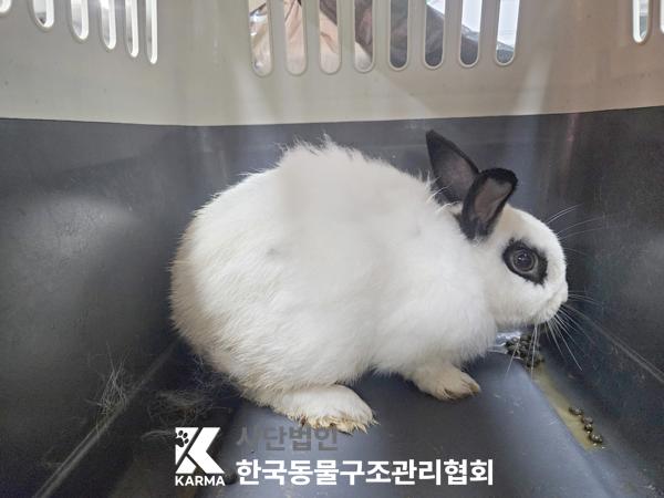 보호중 기타축종의 …
