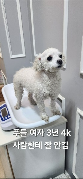 옥천동물병원_443443202500649