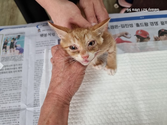 경동동물병원_428349202500791