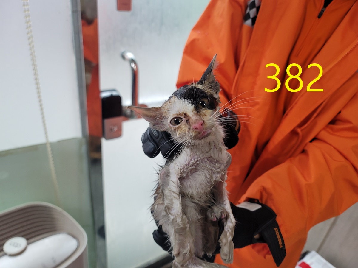 신영재동물병원_428355202500616