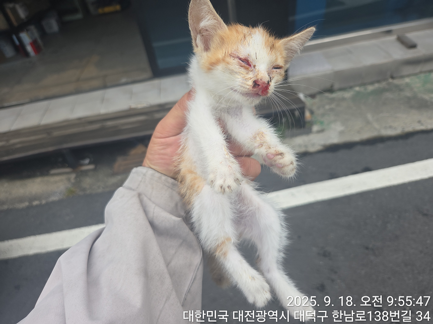 종료(자연사) 한국…