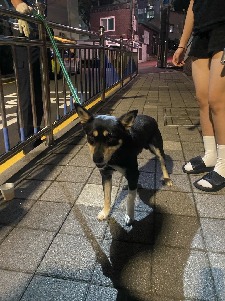 동구종합동물병원_426327202500154