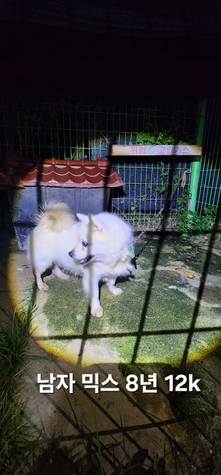 옥천동물병원_443443202500653