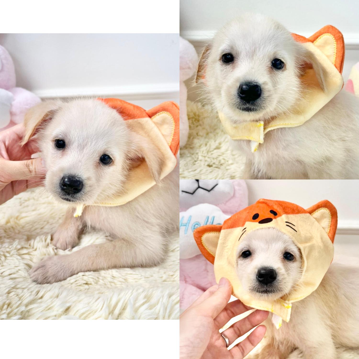 이름없음