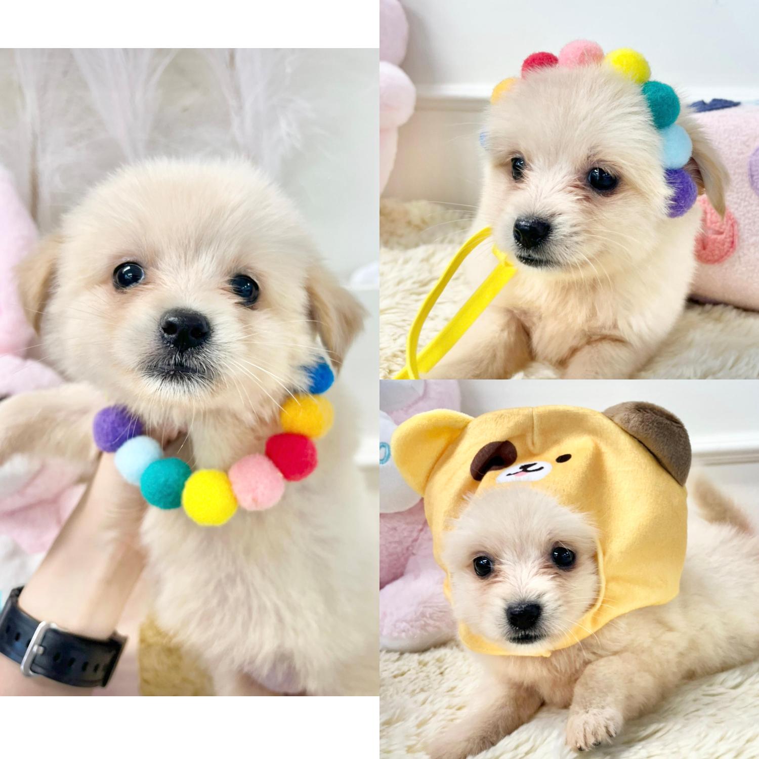 이름없음