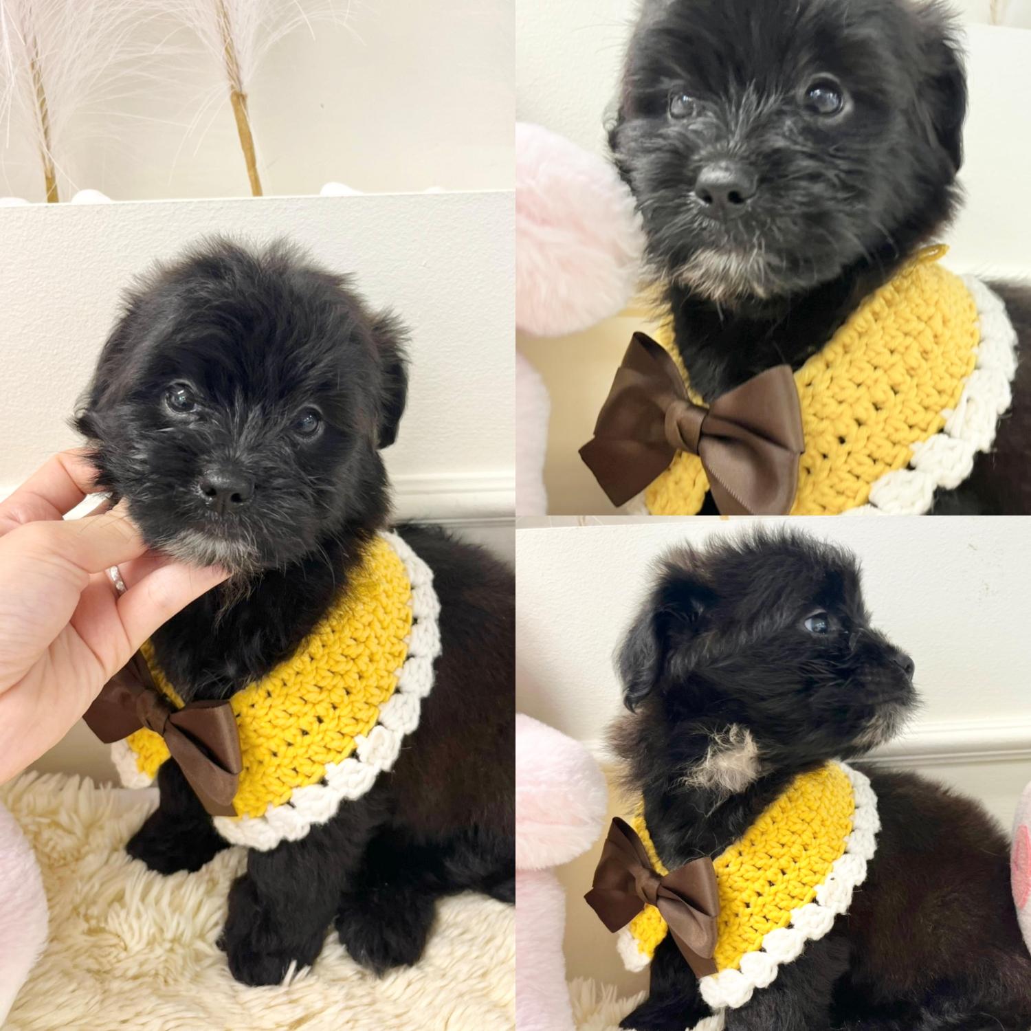 이름없음