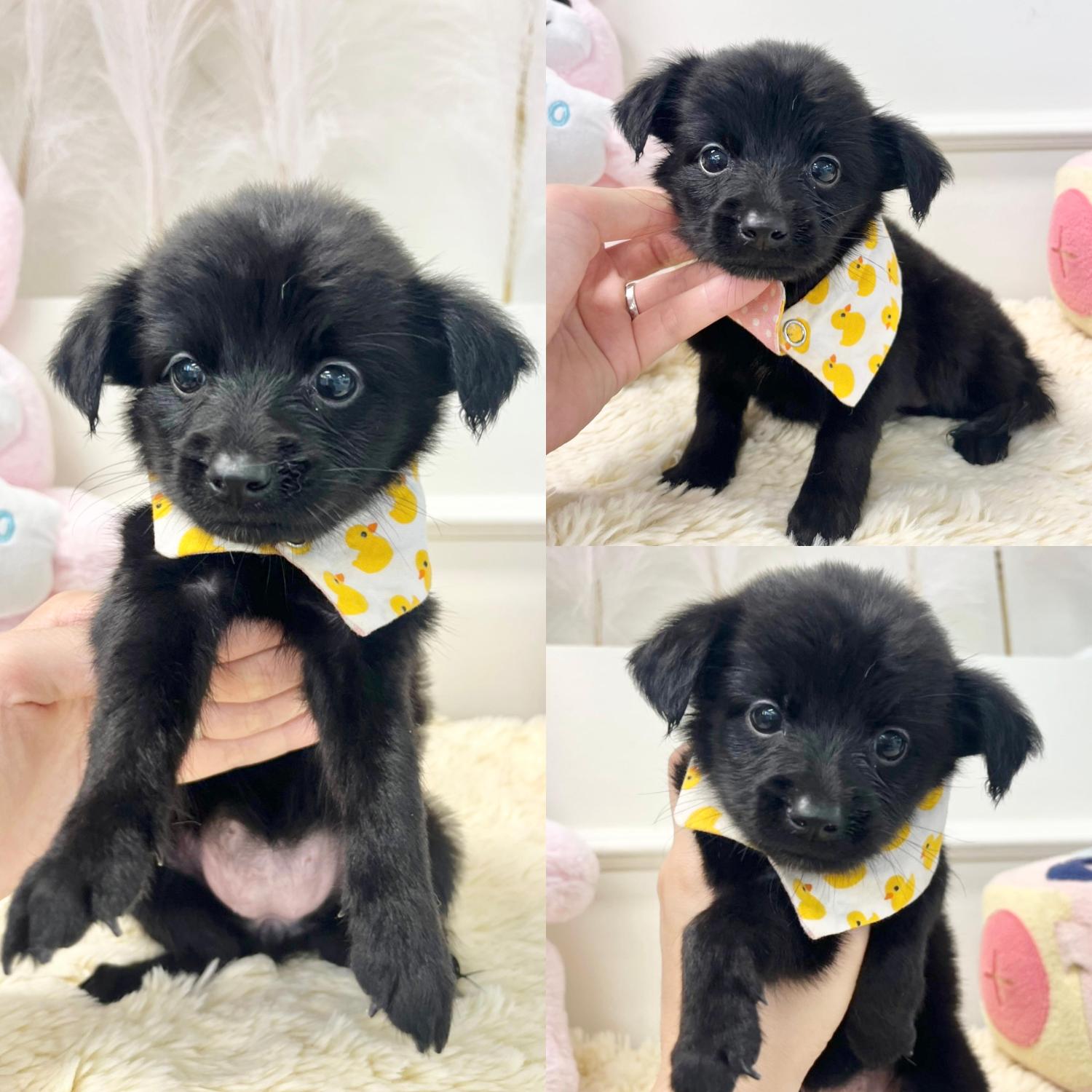 이름없음
