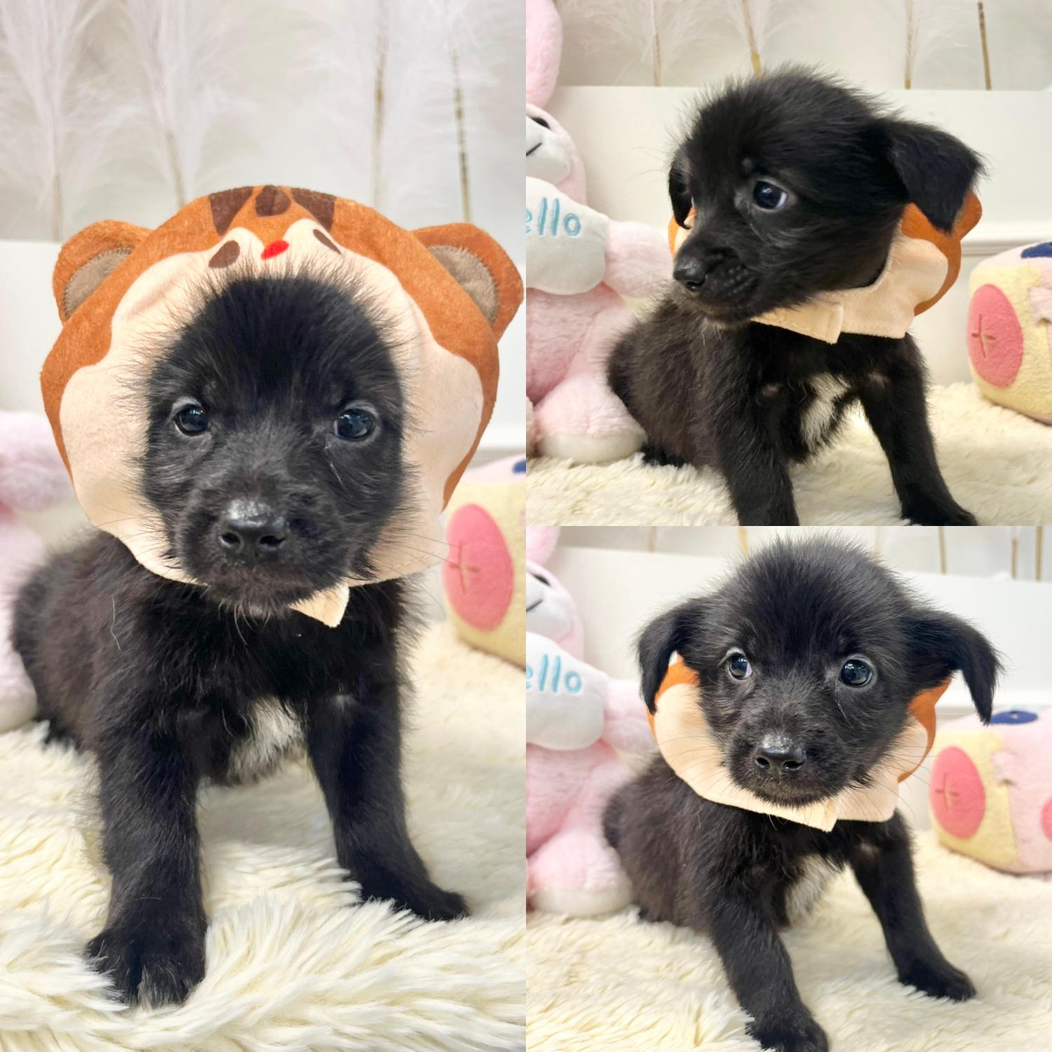 이름없음