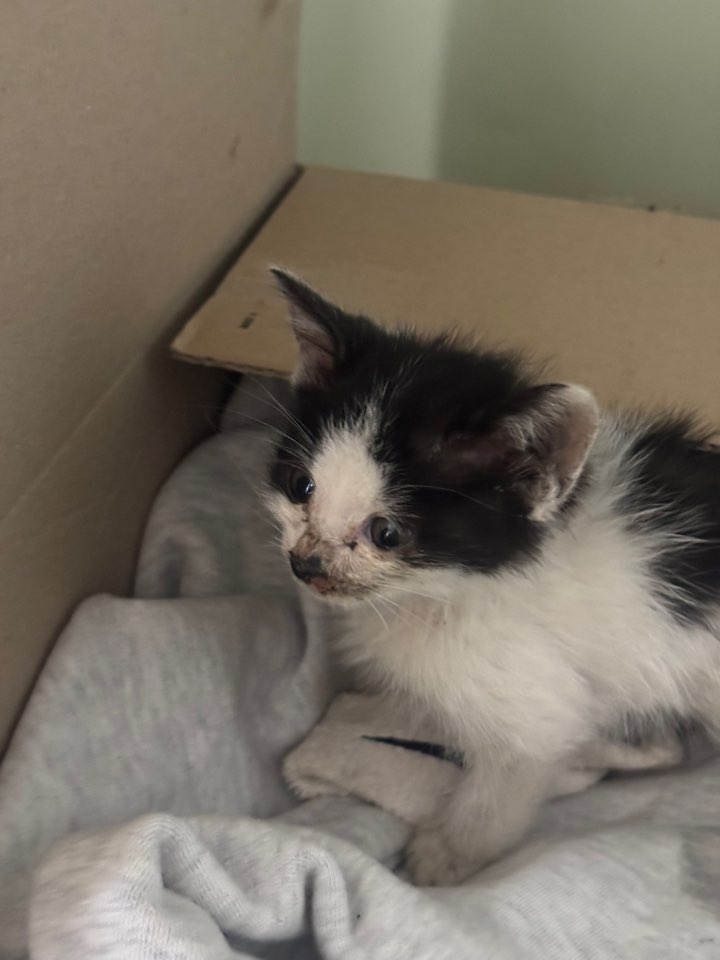 종료(자연사) 한국…