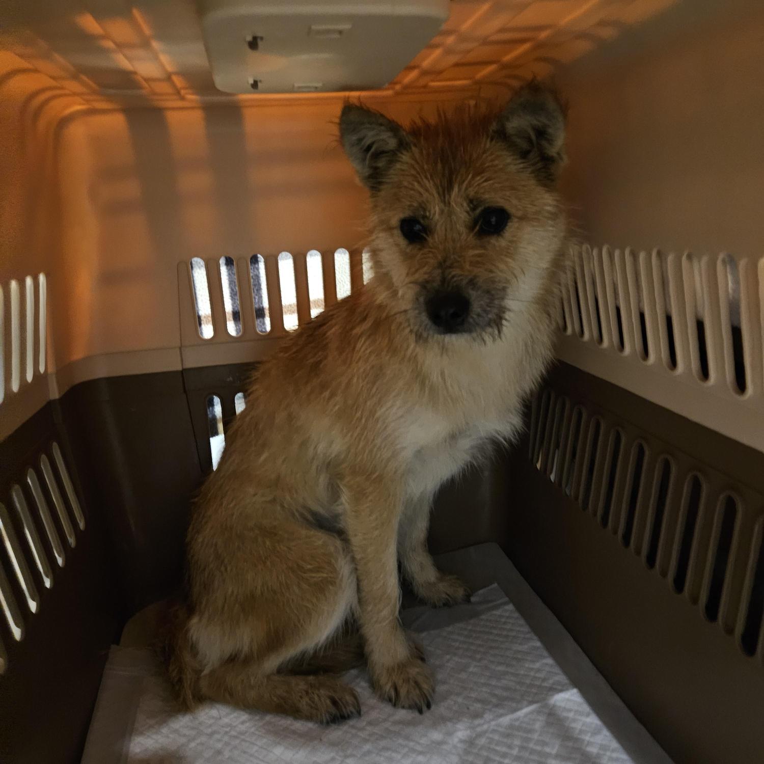 강동리본센터(reborn)_411324202500539