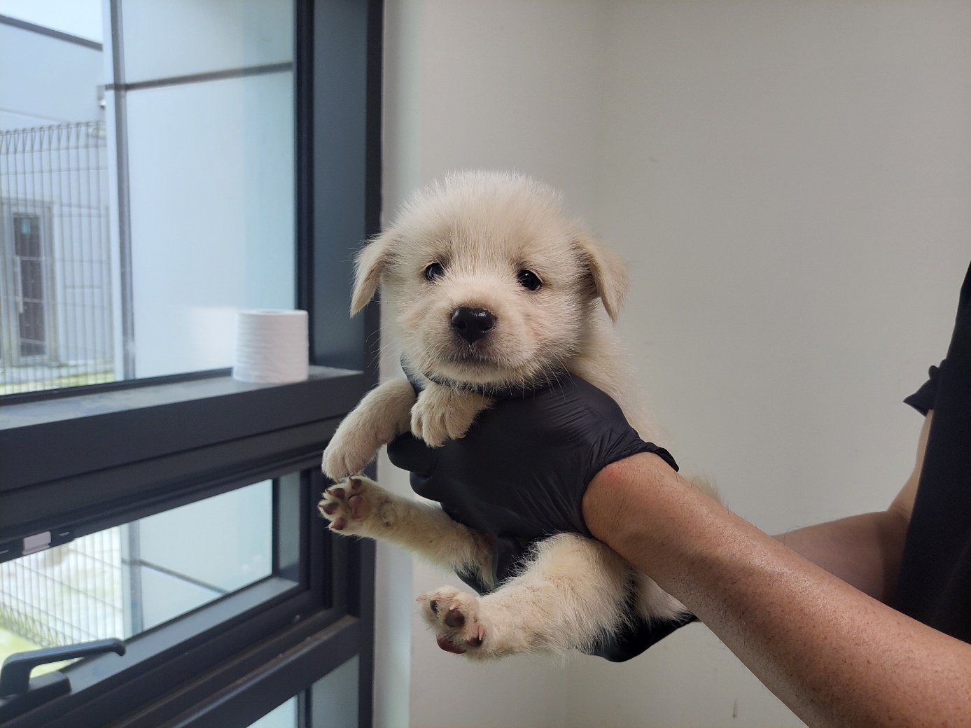 종료(자연사) 믹스…