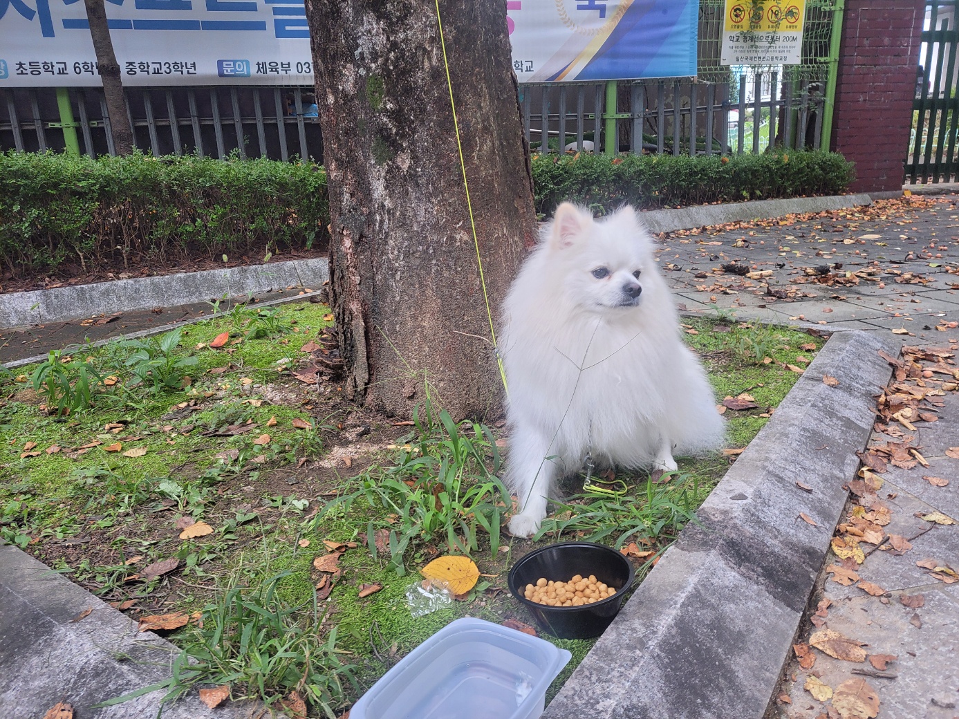 고양시동물보호센터_441394202502165