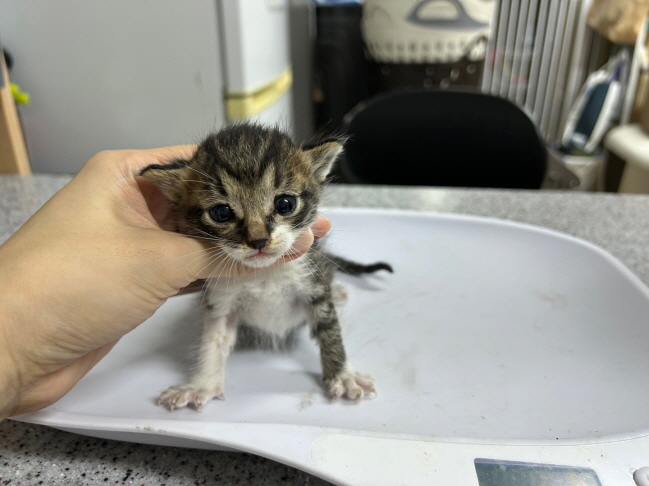 광주동물보호센터_429363202500777