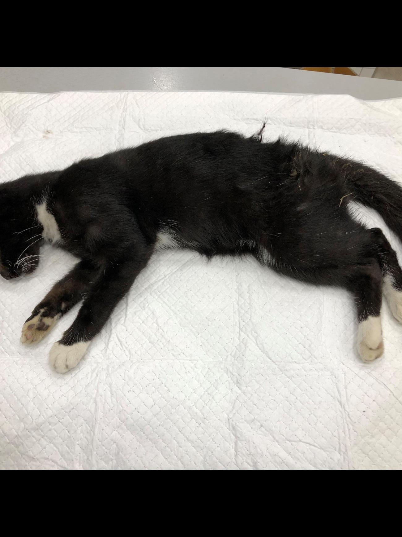 종료(자연사) 한국…