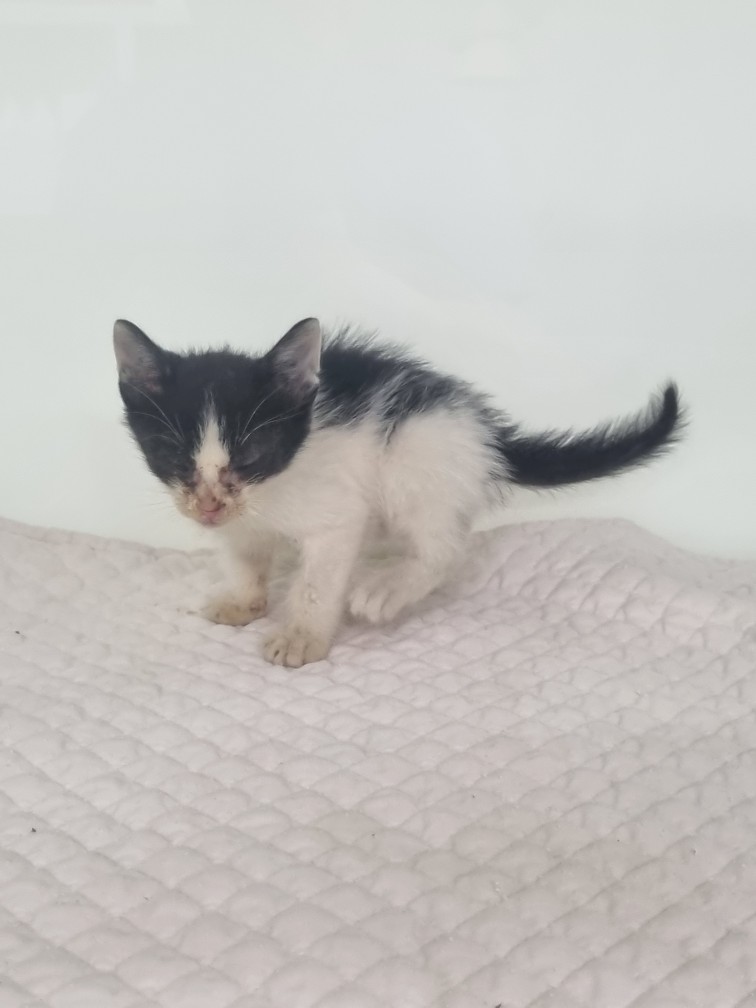 종료(자연사) 한국…