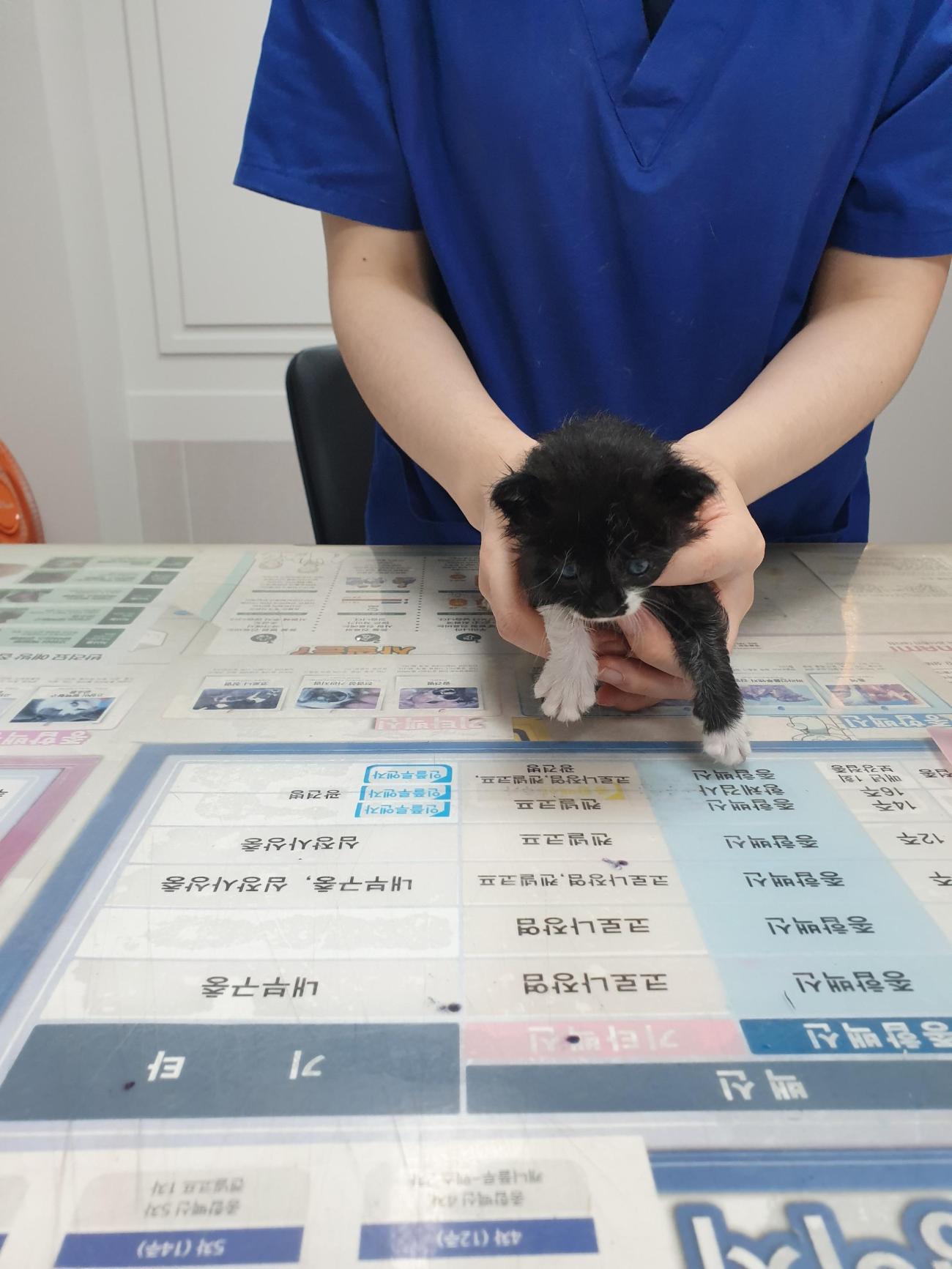 종료(자연사) 한국…