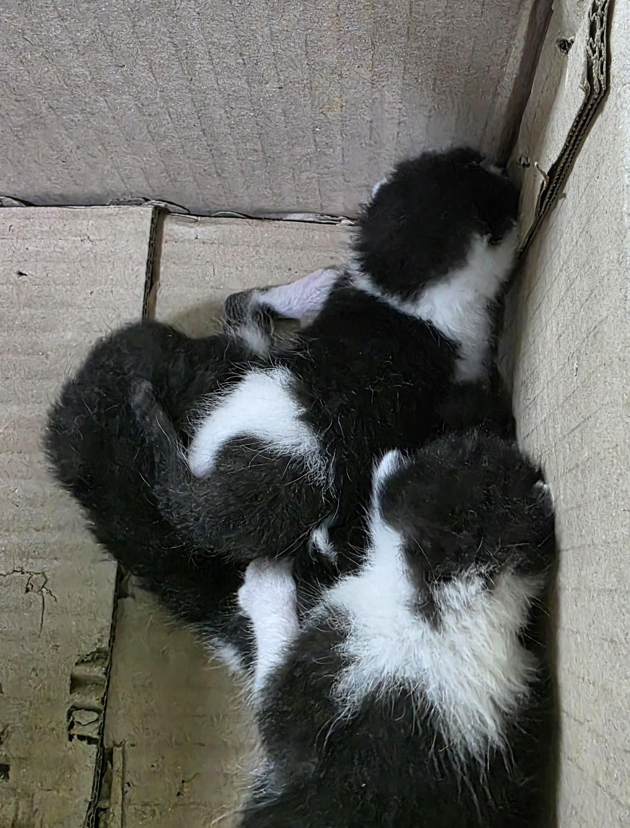 종료(자연사) 한국…