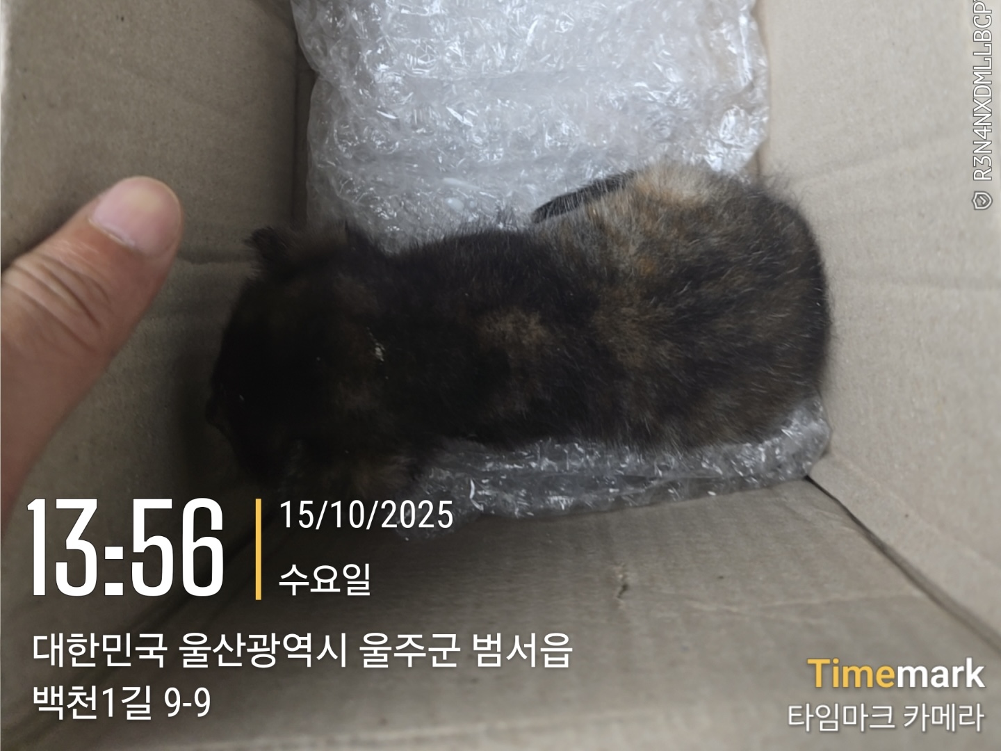 종료(자연사) 한국…