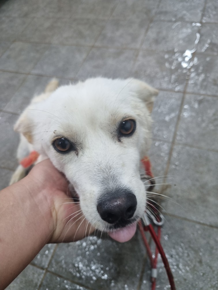 군위종합동물병원_427514202500255