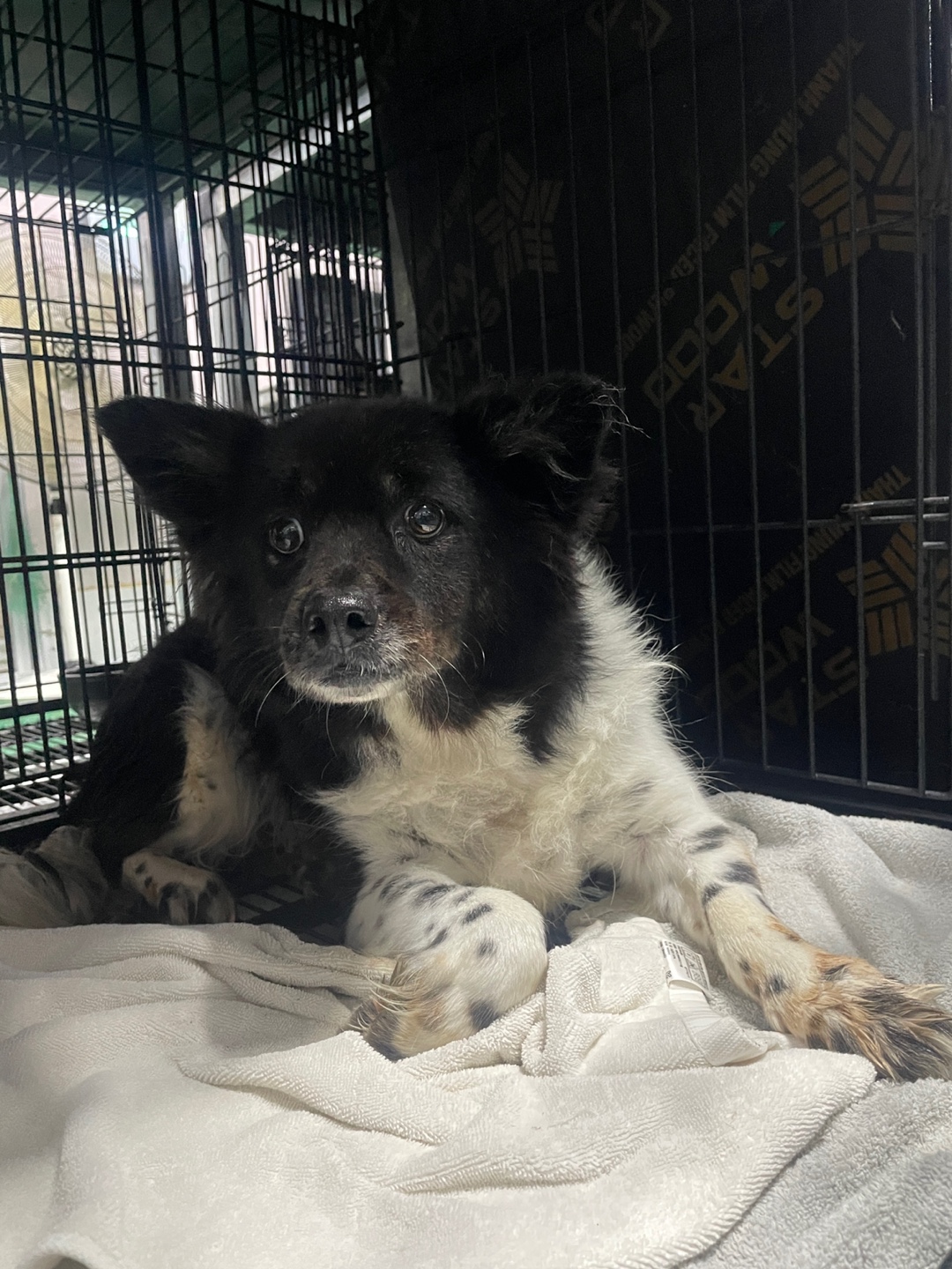 밀양시 동물보호센터_448536202500897