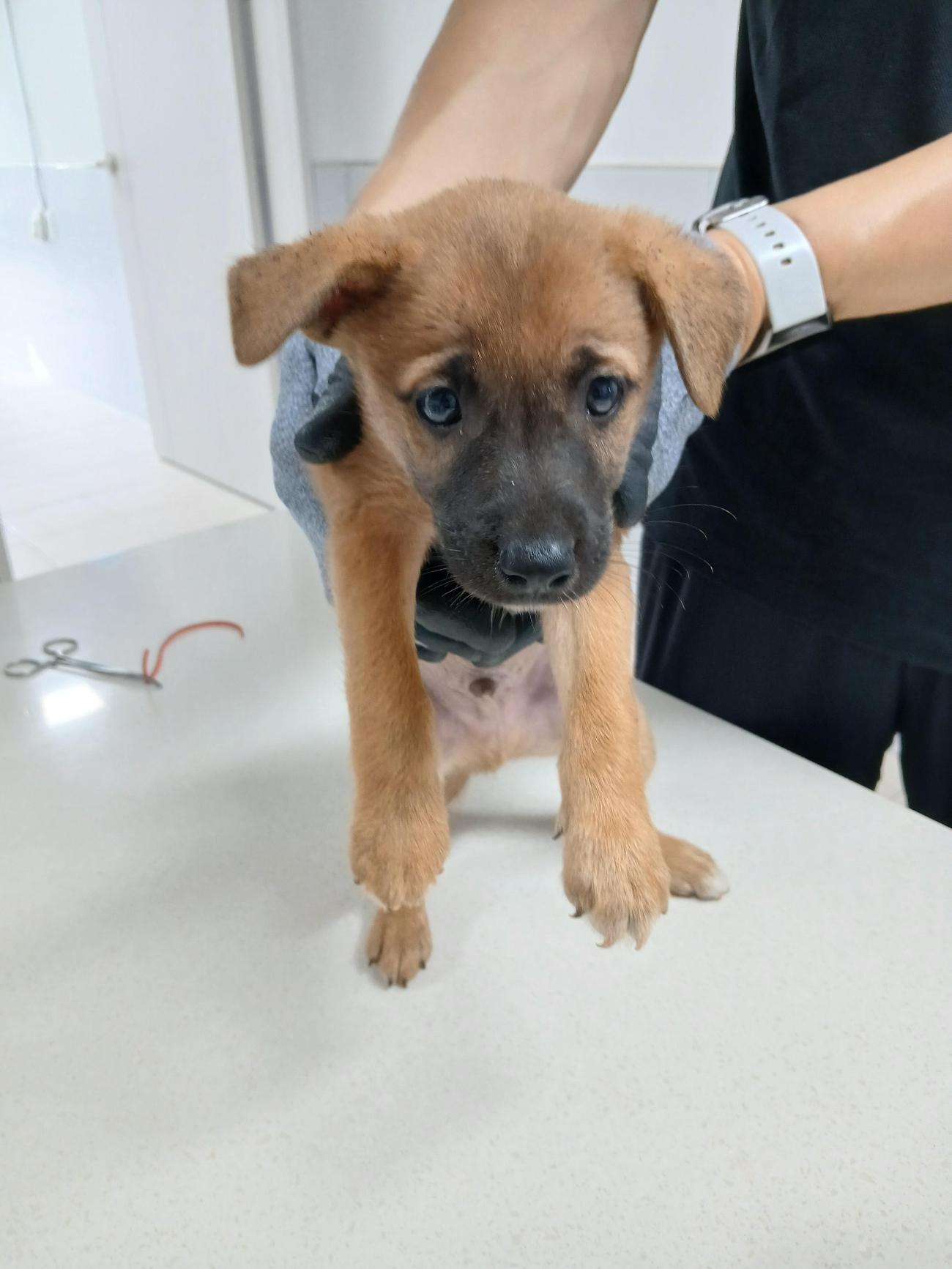 남해군동물보호센터_448543202500168