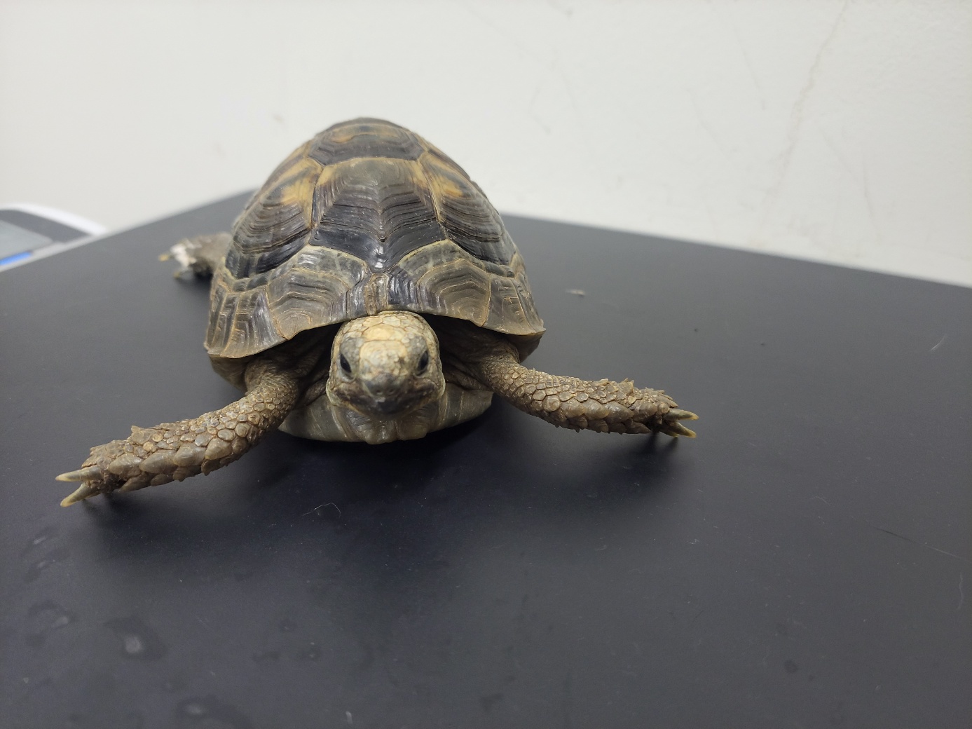 종료(기증) 기타축…