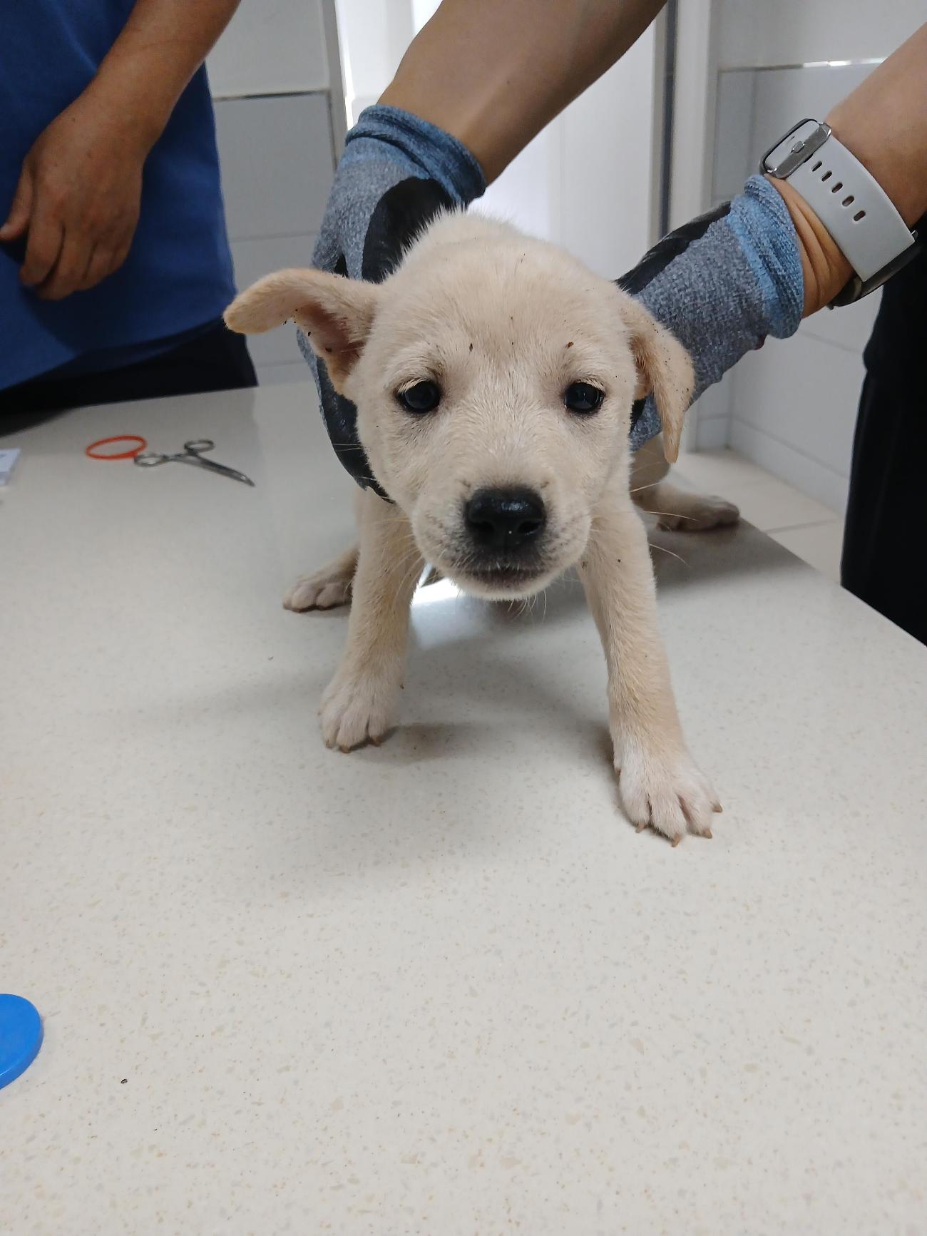 남해군동물보호센터_448543202500164