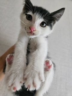 종료(자연사) 한국…