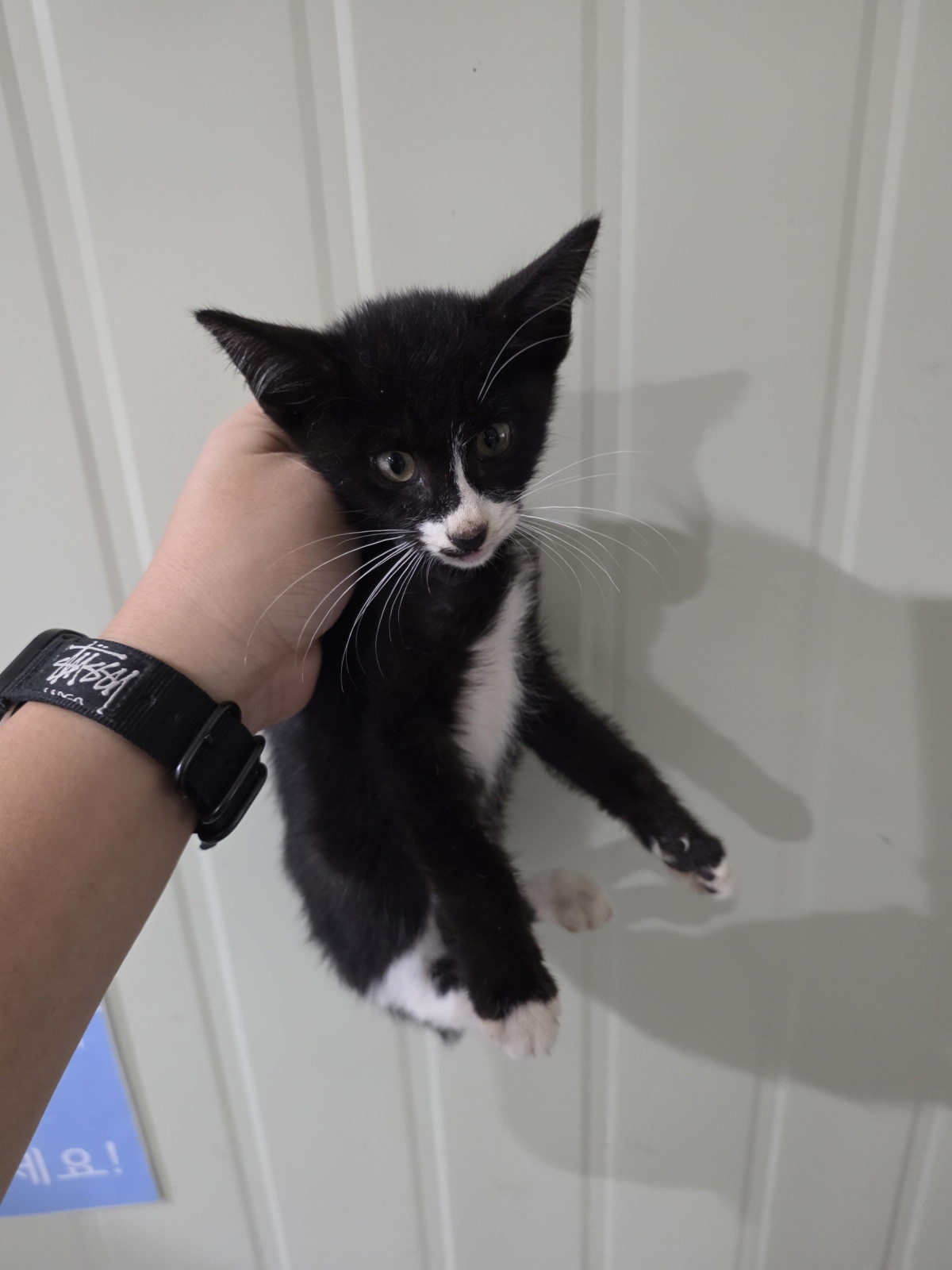 종료(자연사) 한국…