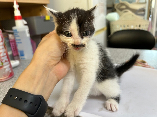 종료(기증) 한국 …