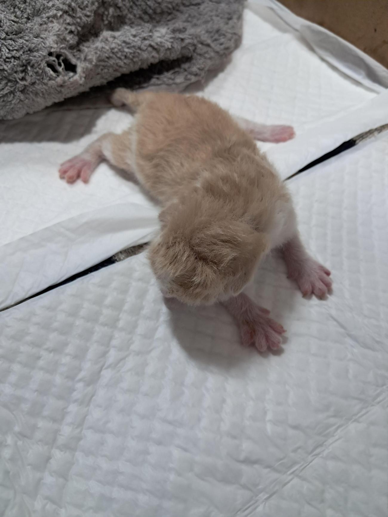 종료(자연사) 한국…