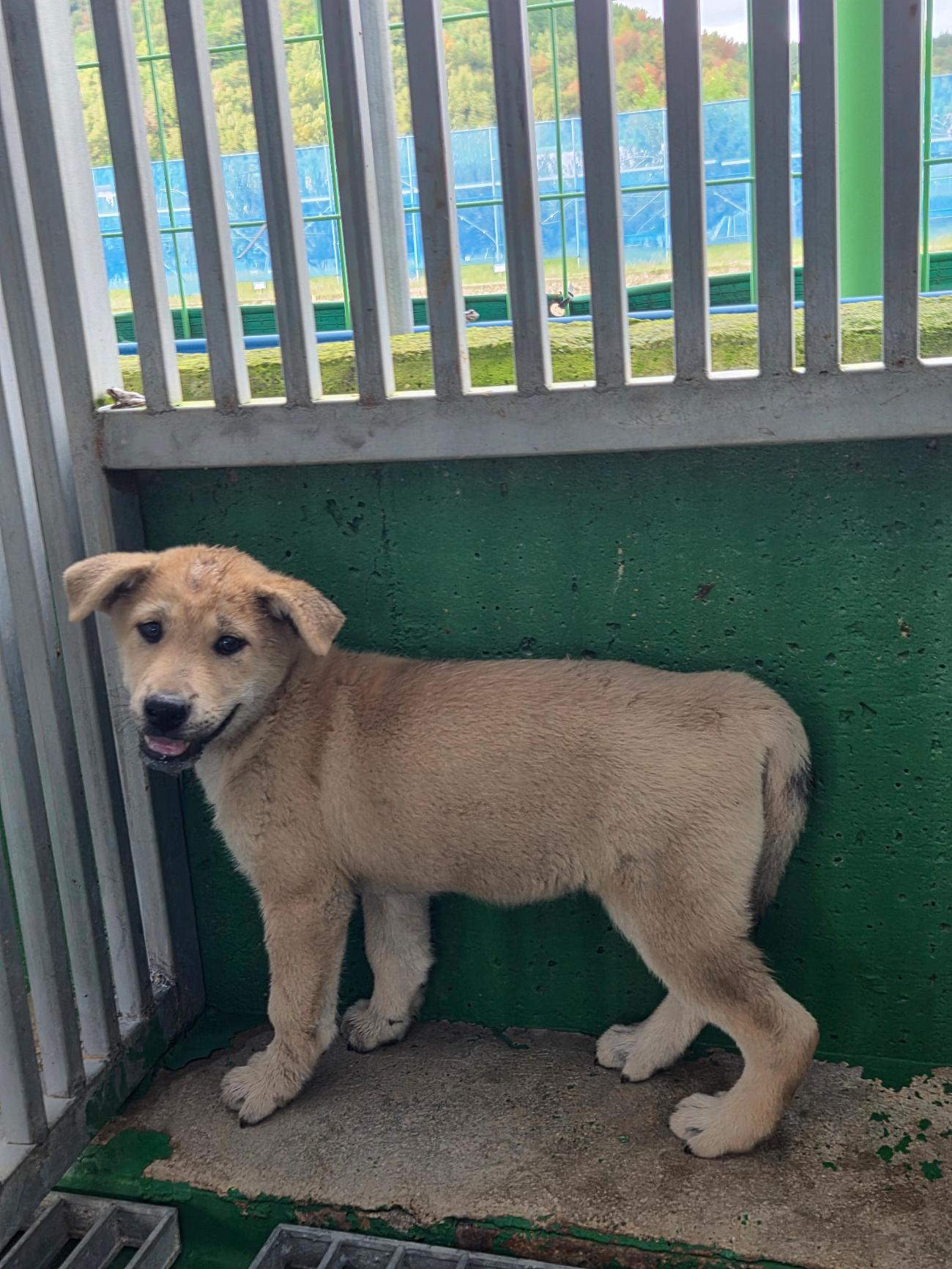 종료(자연사) 믹스…