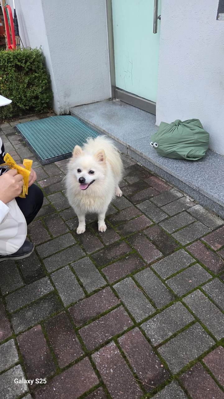 익산유기동물보호소_445468202502887